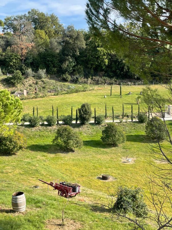 Resort Panoramico Canale Suite - Private Parking - Natural Park シナルンガ エクステリア 写真