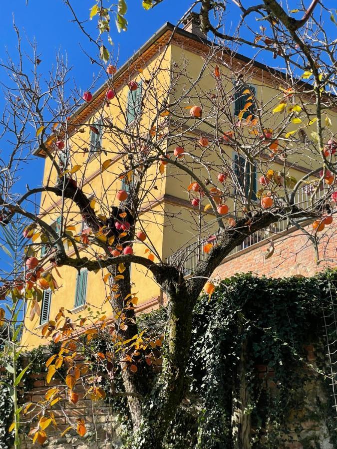 Resort Panoramico Canale Suite - Private Parking - Natural Park シナルンガ エクステリア 写真