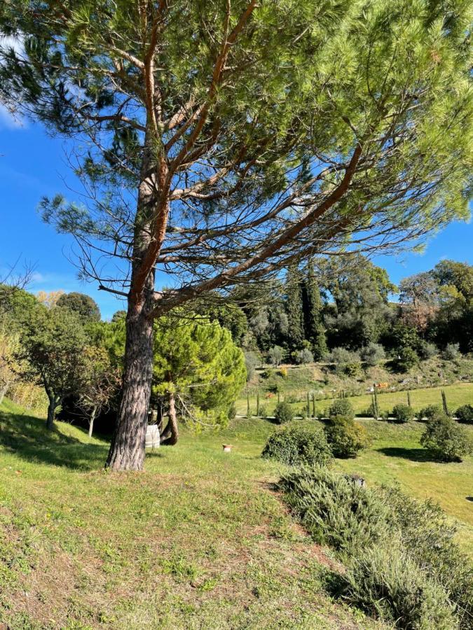 Resort Panoramico Canale Suite - Private Parking - Natural Park シナルンガ エクステリア 写真