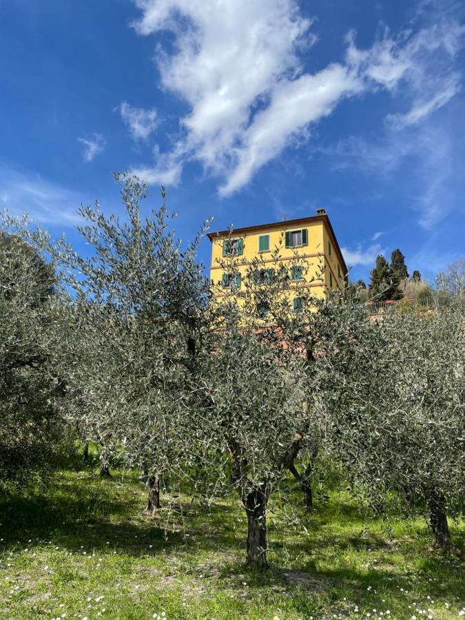 Resort Panoramico Canale Suite - Private Parking - Natural Park シナルンガ エクステリア 写真