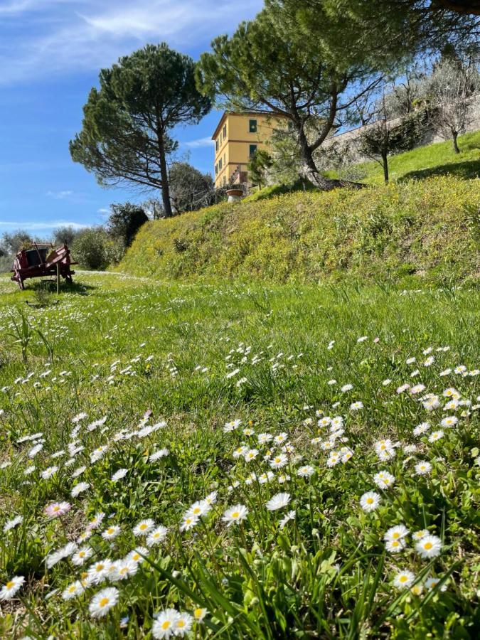 Resort Panoramico Canale Suite - Private Parking - Natural Park シナルンガ エクステリア 写真