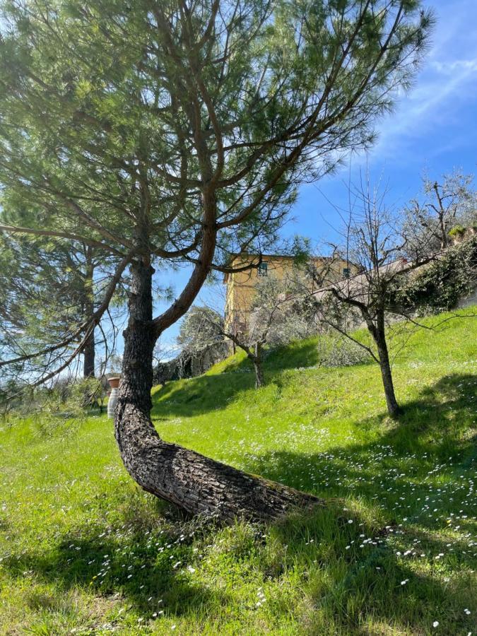 Resort Panoramico Canale Suite - Private Parking - Natural Park シナルンガ エクステリア 写真